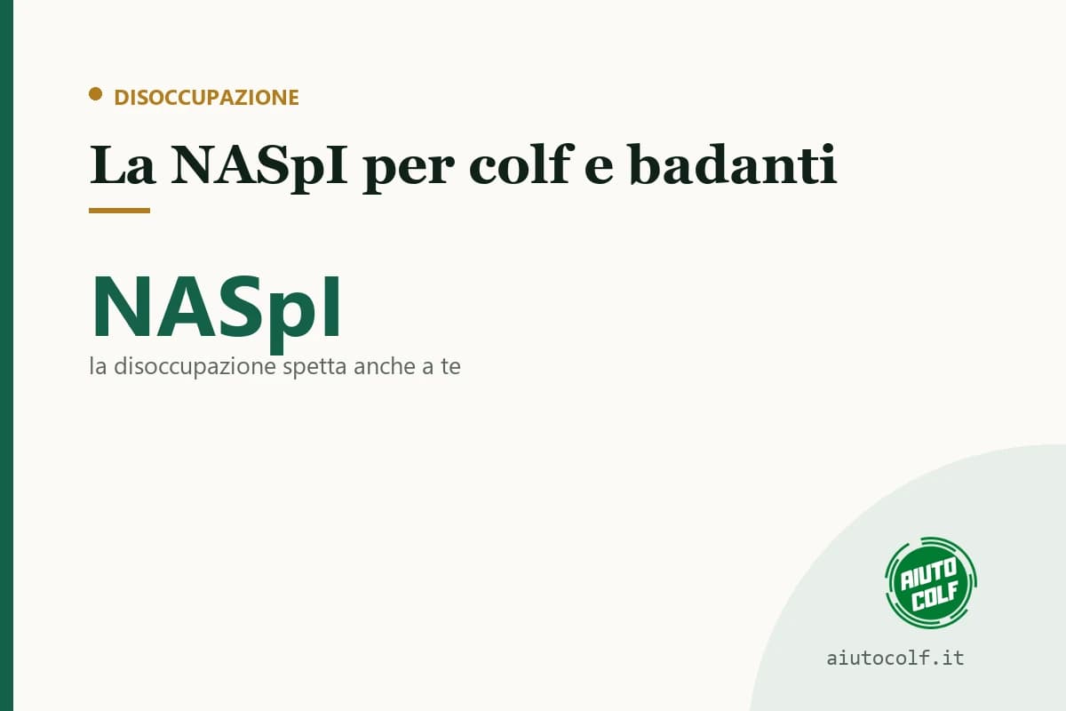 Disoccupazione per colf e badanti: come funziona la NASpI